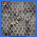 Galvanisé / PVC Gabion Wire Mesh (CT-1)